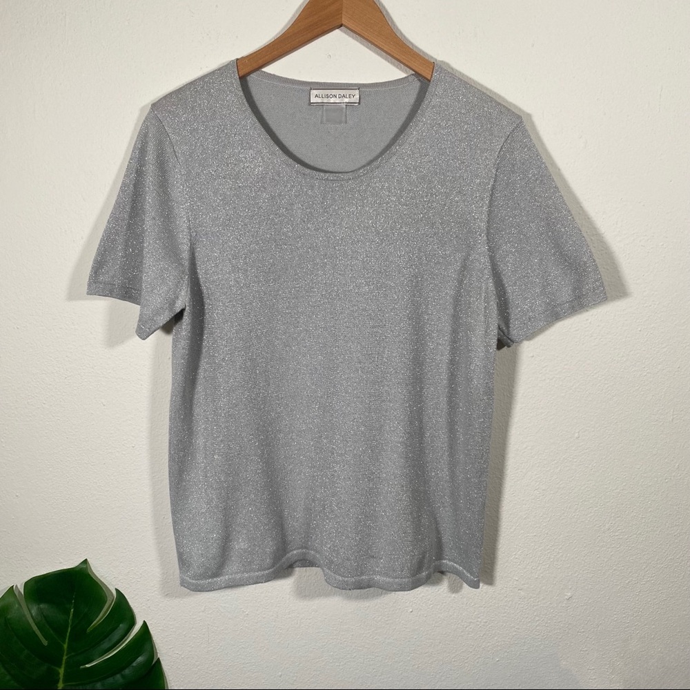 Allison Daley Grey Silver Sparkle Glitter Blouse Short Sleeves Women's Large